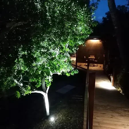 Quinta Mata Da Se