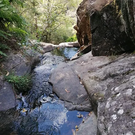 Πανσιόν Quinta Mata Da Se Miranda do Corvo