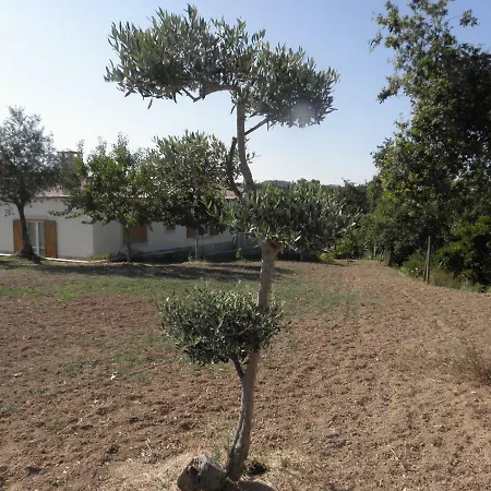 Quinta Mata Da Se Πανσιόν Miranda do Corvo