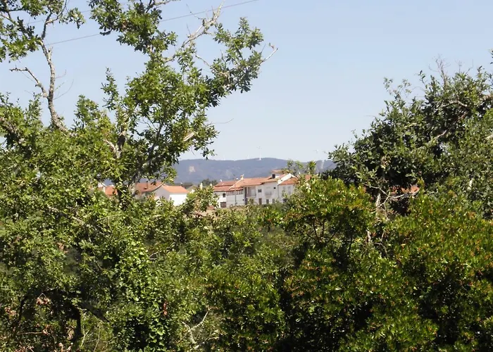 Quinta Mata Da Se Гостевой дом